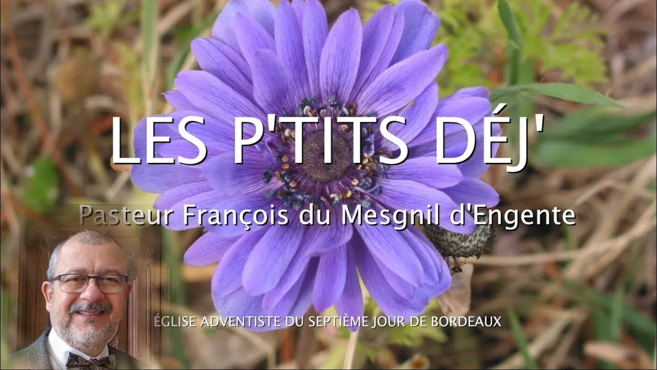 1766 - Les P'tits déj' spirituels - Ayez le mal en horreur - Romains 12.9