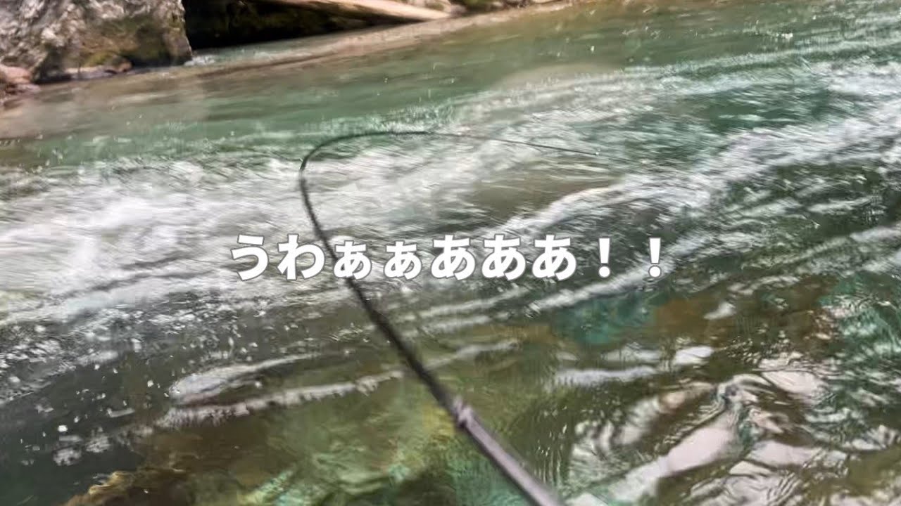 激流で優雅に泳ぐ大鮎と出くわしてしまいました