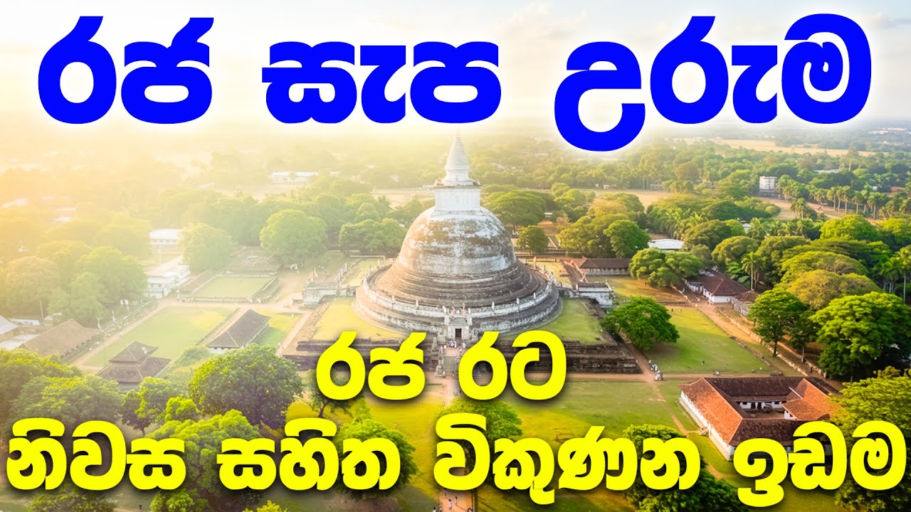 ඕනෑම ව්‍යාපාරයකට සුදුසු සාධාරණ මිලකට විකිනෙන නිවසක් සහිත ඉඩමක් #landforsale #fivestar #anuradhapura