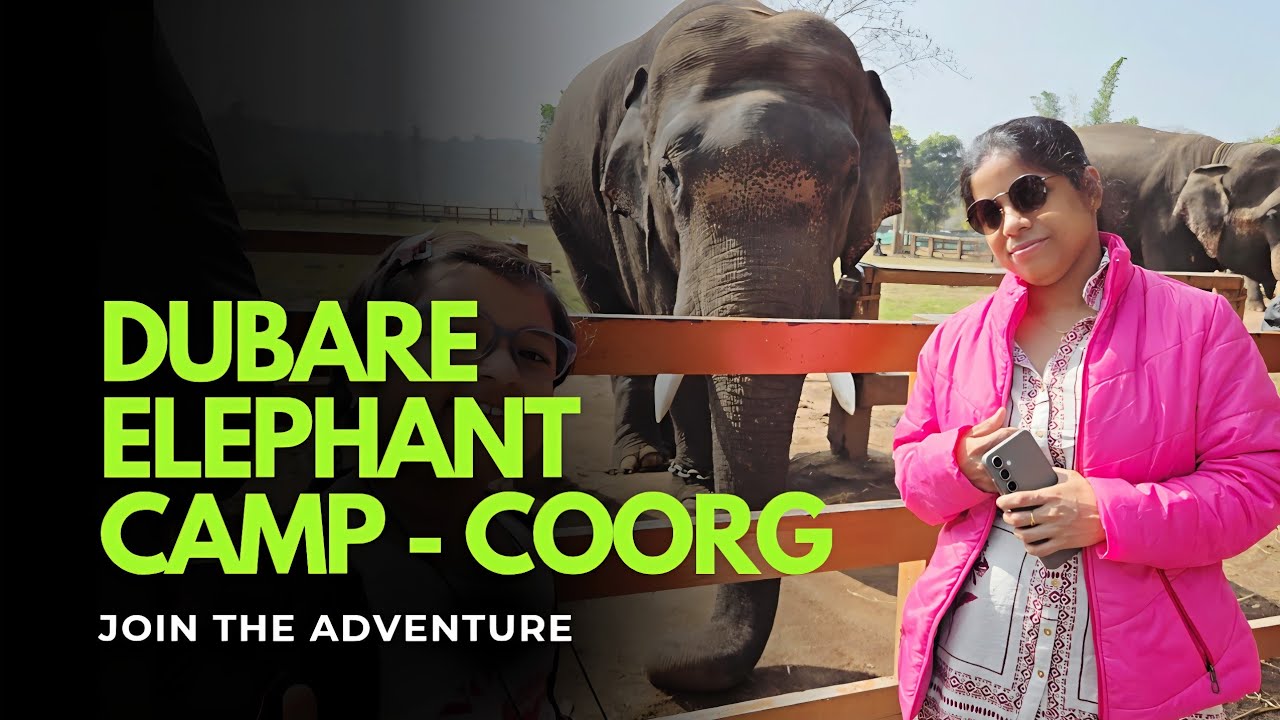 Dubare Elephant Camp Coorg | Road Trip from Mysore to Coorg | Brezza VXI #ghosh4all #roadtrip #car 
