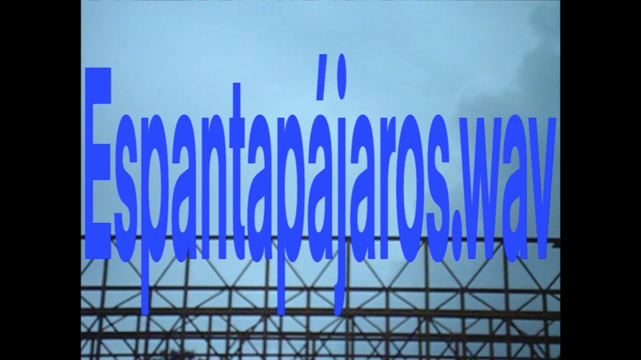 espantapajaros