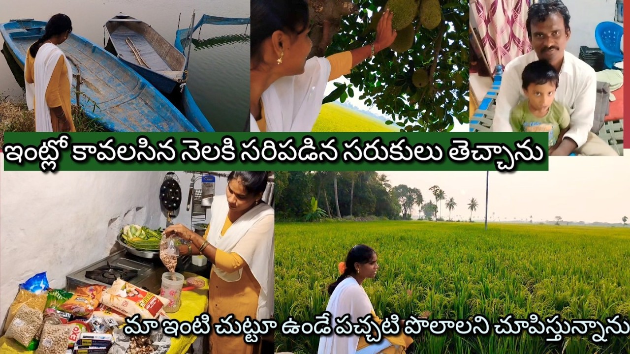 మా ఇంటి చుట్టూ ఉండే పచ్చడి పొలాలని చూపిస్తున్నాను#villagehousewifedaillyrouteen
