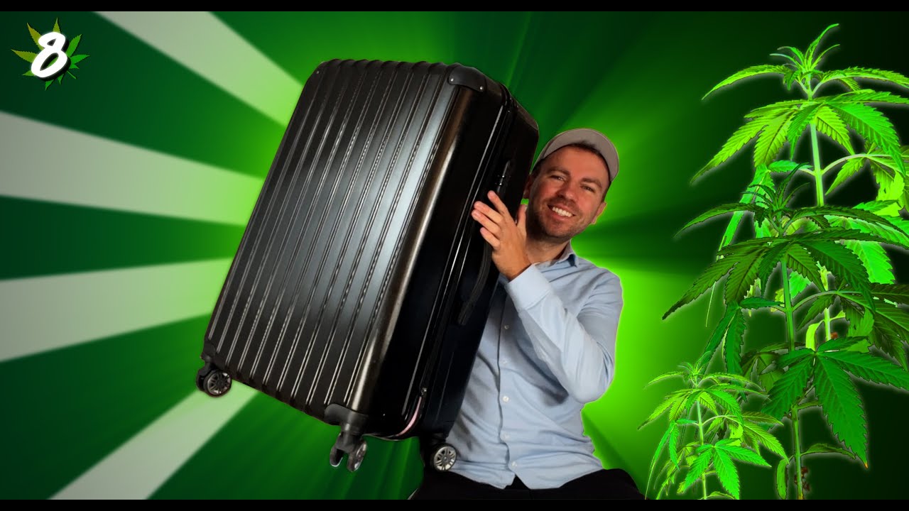 A new Update - Bonsanto Mini Grow Box