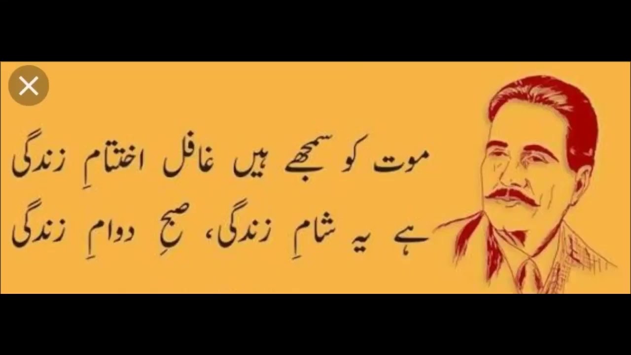 Importance of Moral Values in Education