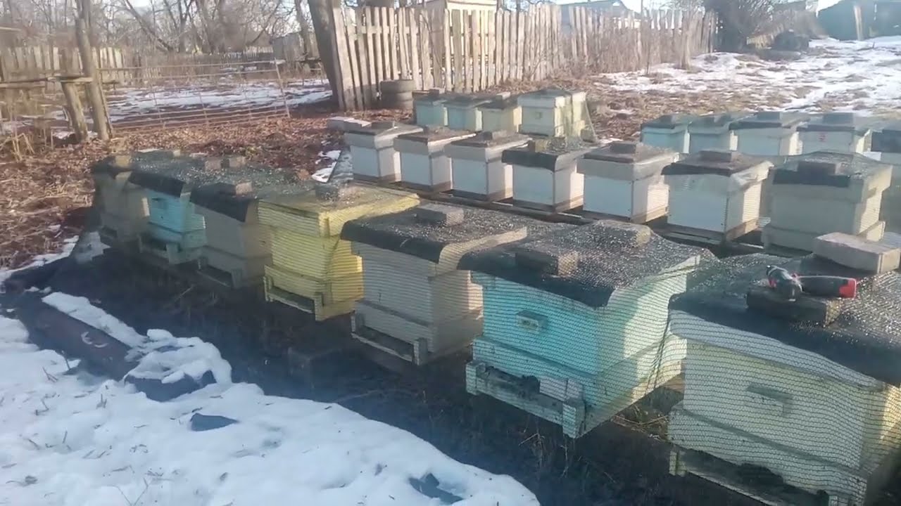 Всего по немножку. Зимовка. Вентиляция.