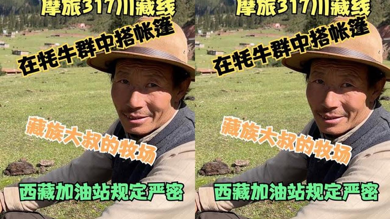 摩旅317川藏线 在藏族大叔牧场搭帐篷  #摩旅317川藏线 #骑行西藏 #摩旅vlong #牧场露营