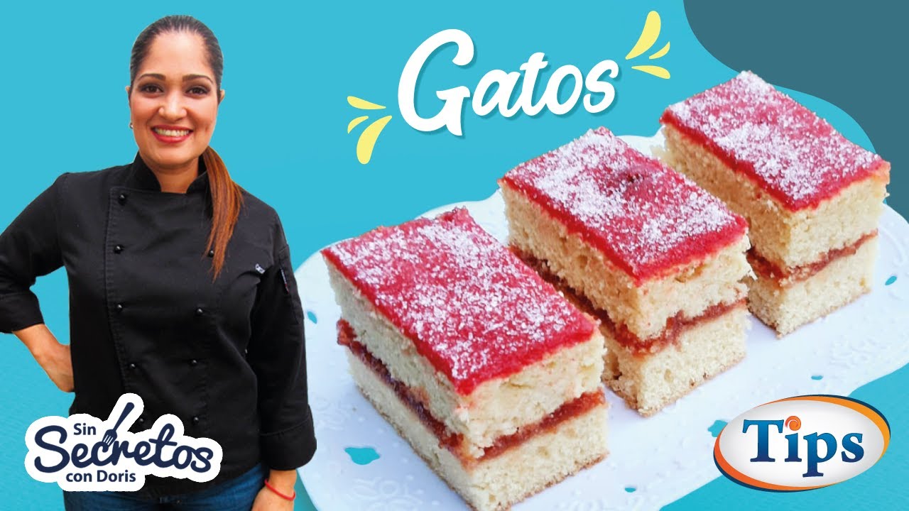 Gatos