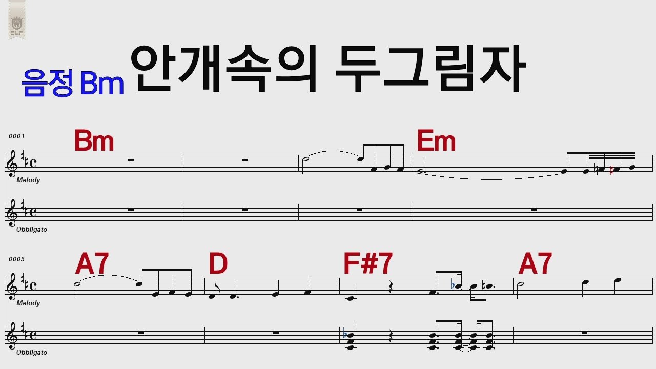 안개속의 두그림자 함중아 Bm /통기타 카포 악보영상