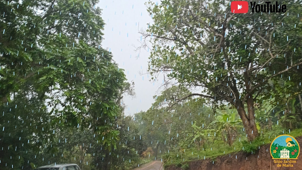 AS LAVOURAS ESTAVAM PRECISANDO DE CHUVA  🌧 E ELA CHEGOU 🙏