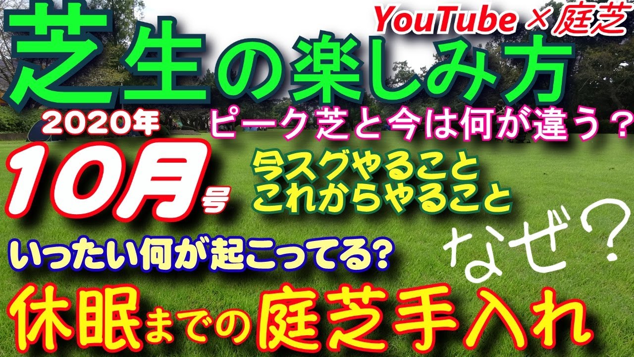 10月の芝生の手入れと動画紹介「芝生の楽しみ方」10月号 芝活2020