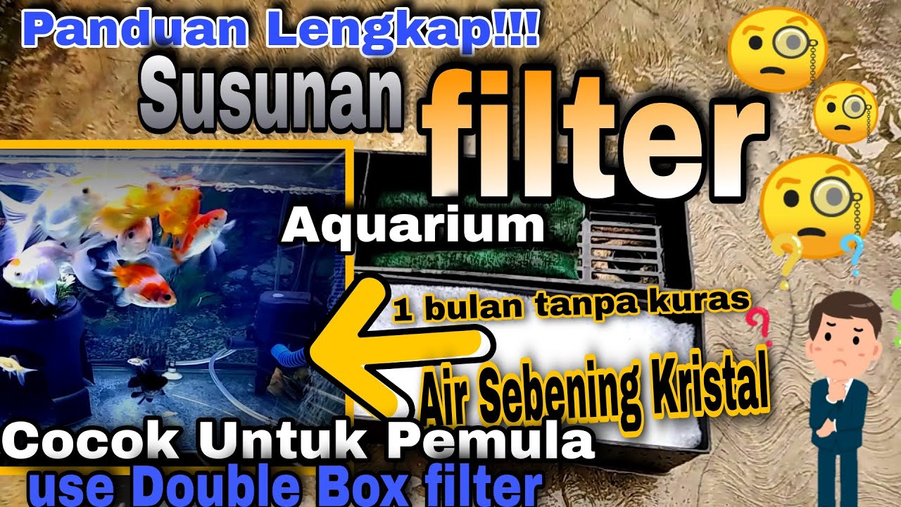 FILTRASI AQUARIUM YANG BAIK - 1 BULAN TANPA KURAS || AIR TETAP BENING - PANDUAN LENGKAP & SEDERHANA
