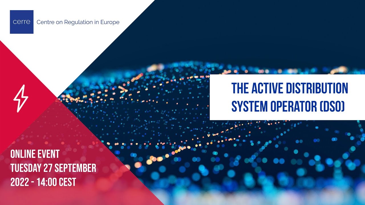 The Active Distribution System Operator (DSO)