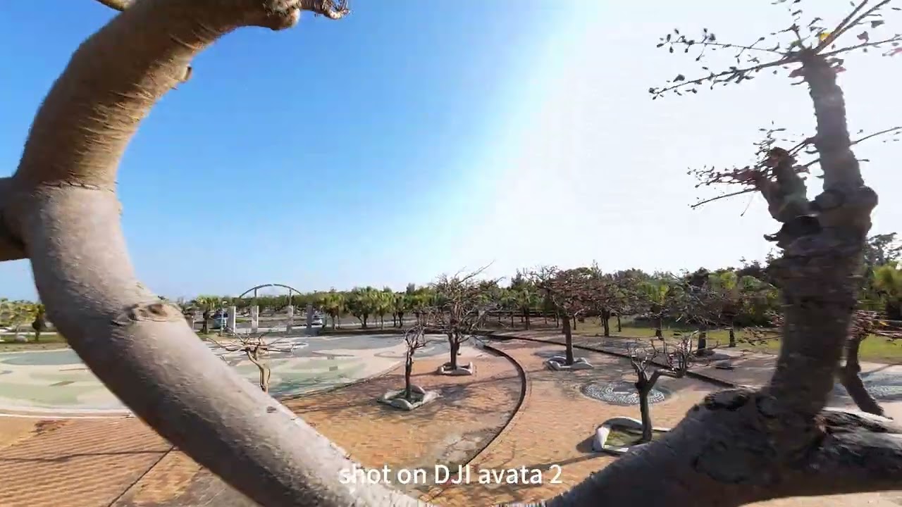 少了礙事的樹葉! DJI AVATA 2