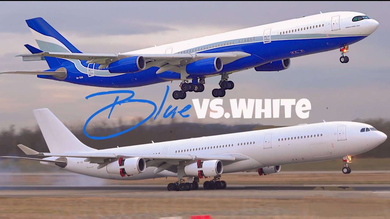 BLUE Vs. WHITE | Hi Fly A340-300 Landing & TakeOff's at Basel Airport (EuroAirport).