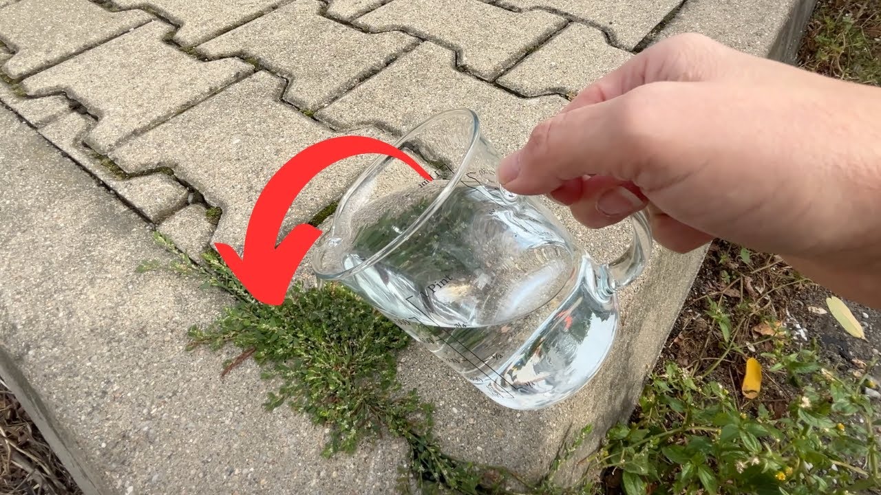 Pour it on the pavement, it removes moss and weeds down to the roots