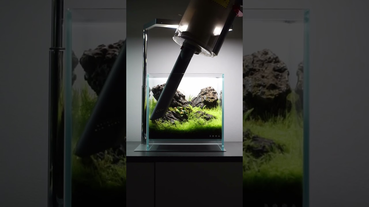 Dooa Neo Glass Air 20x20x20 Maintenance 🌿✂️