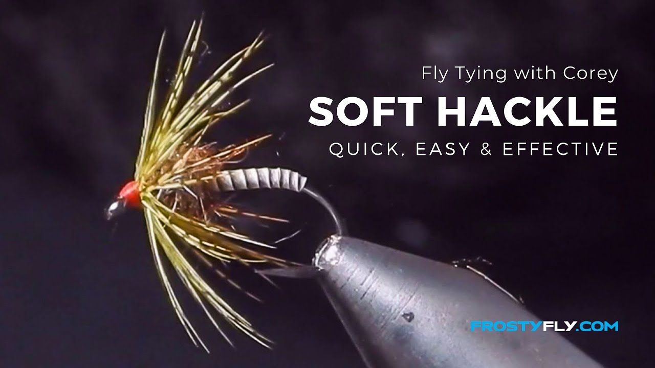 Fly Tying with Corey: Soft Hackle using Hemingway's Synthetic Tapered Peacock Quill