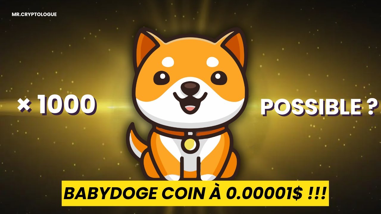 BABYDOGE COIN  &Agrave; 0,00001$ ? VOICI LES EXPLICATIONS !!!
