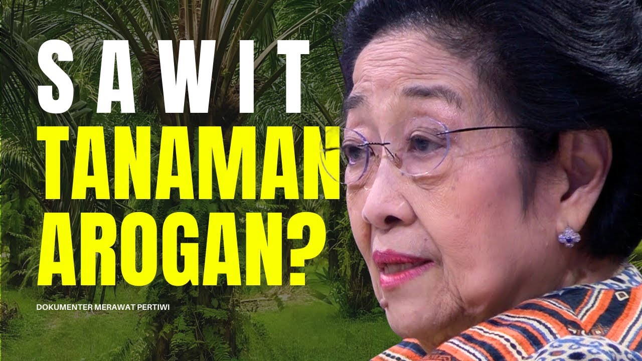 Pohon Ditebang, Sawit Arogan Bikin Alam Meradang? Ini Kata Megawati | Merawat Pertiwi