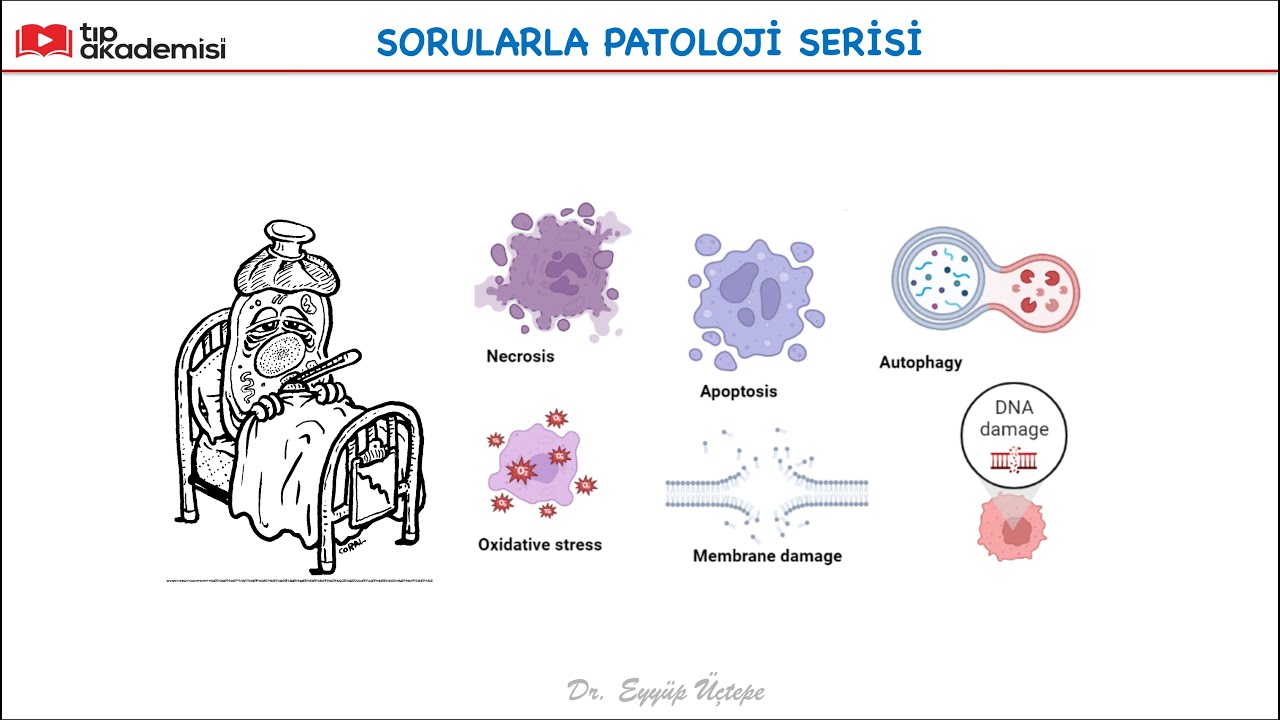 Sorularla Patoloji Serisi-1_Hücre Ölümü