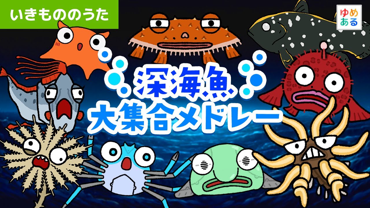 深海魚 大集合メドレー