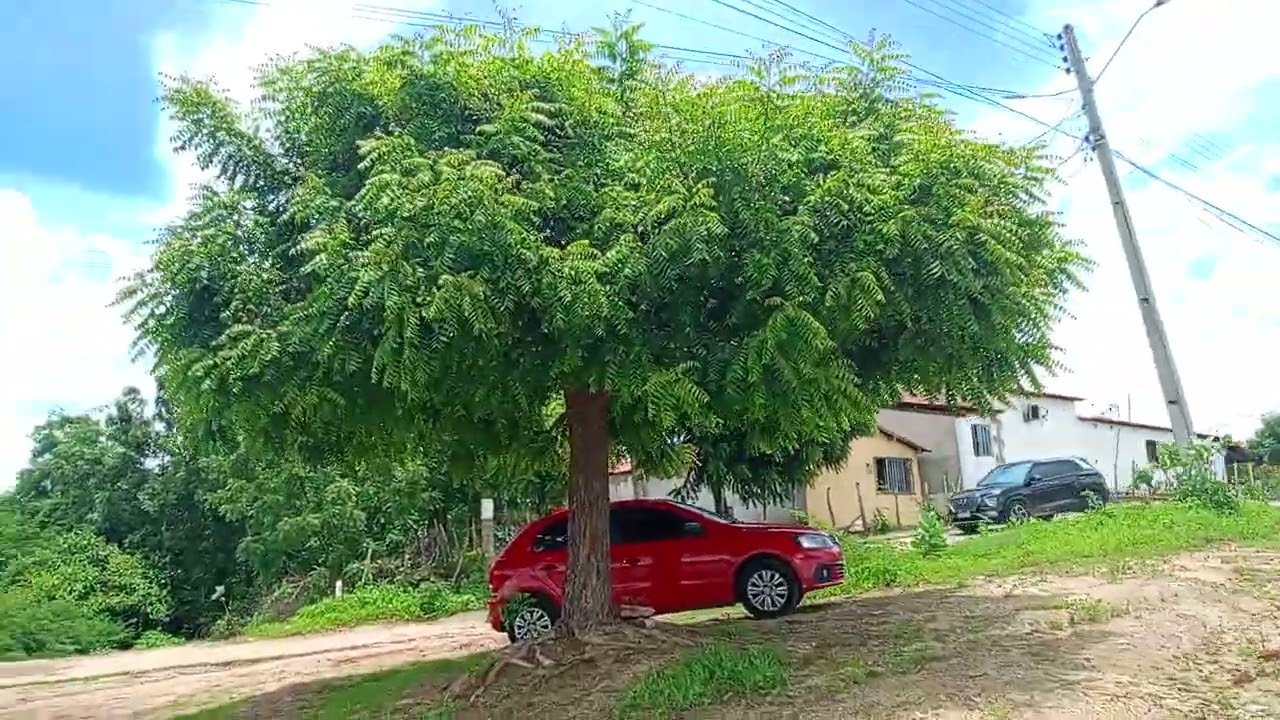 01.03.2026 LOT. SÃO PEDRO. AÇUDE RIASUJO BAIRRO RIACHO SÃO FCO EM CANINDÉ CE DOMINGO PELA MANHÃ