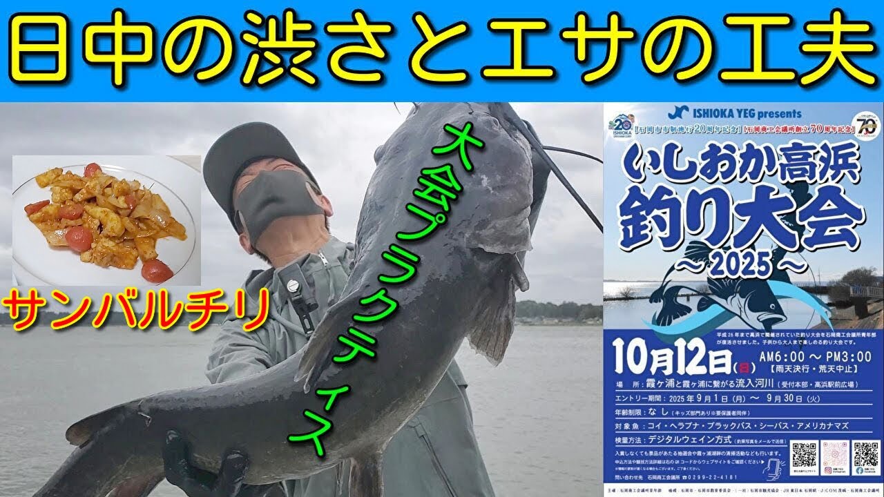 【霞ヶ浦】渋い日中と餌の工夫！ナマズ大会プラクティス