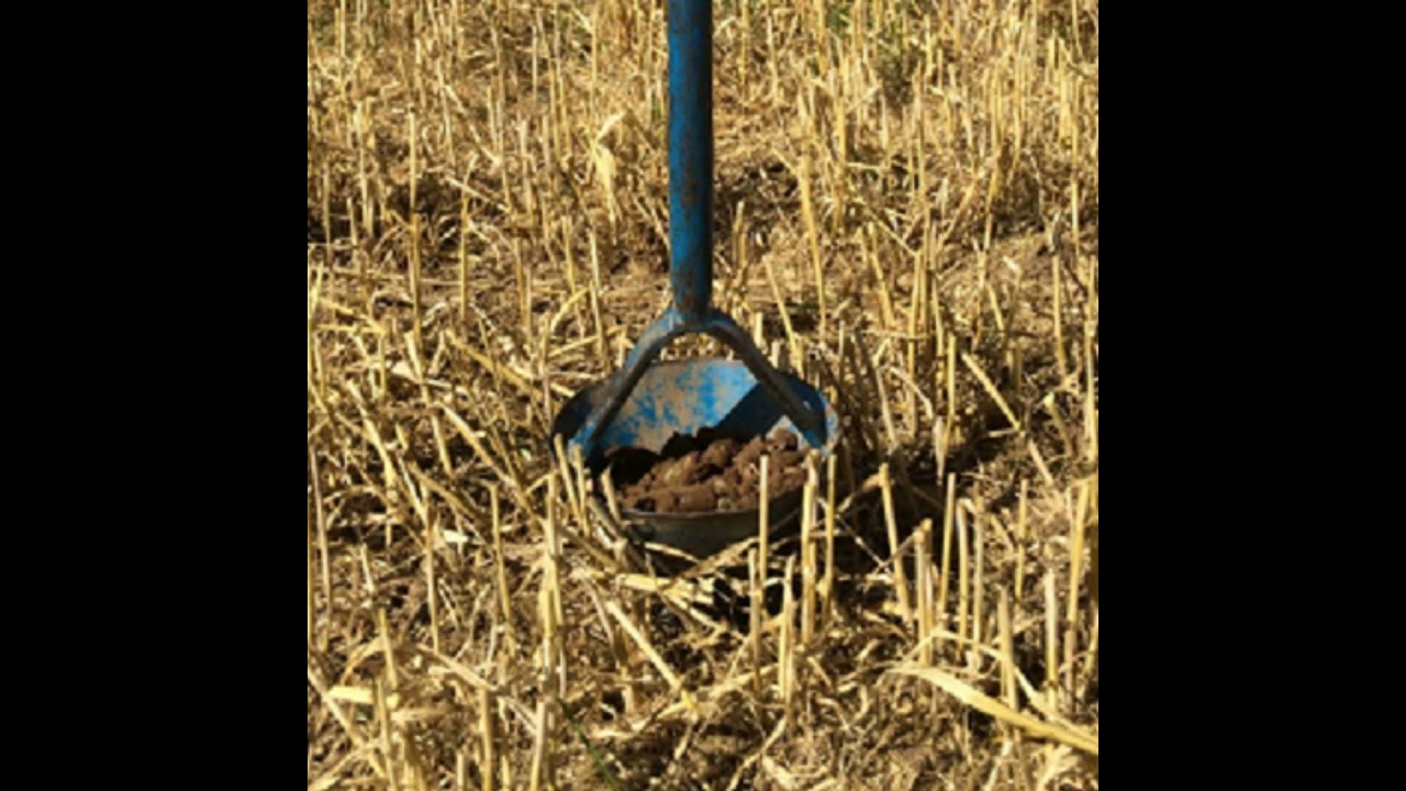 Digging into soil samples