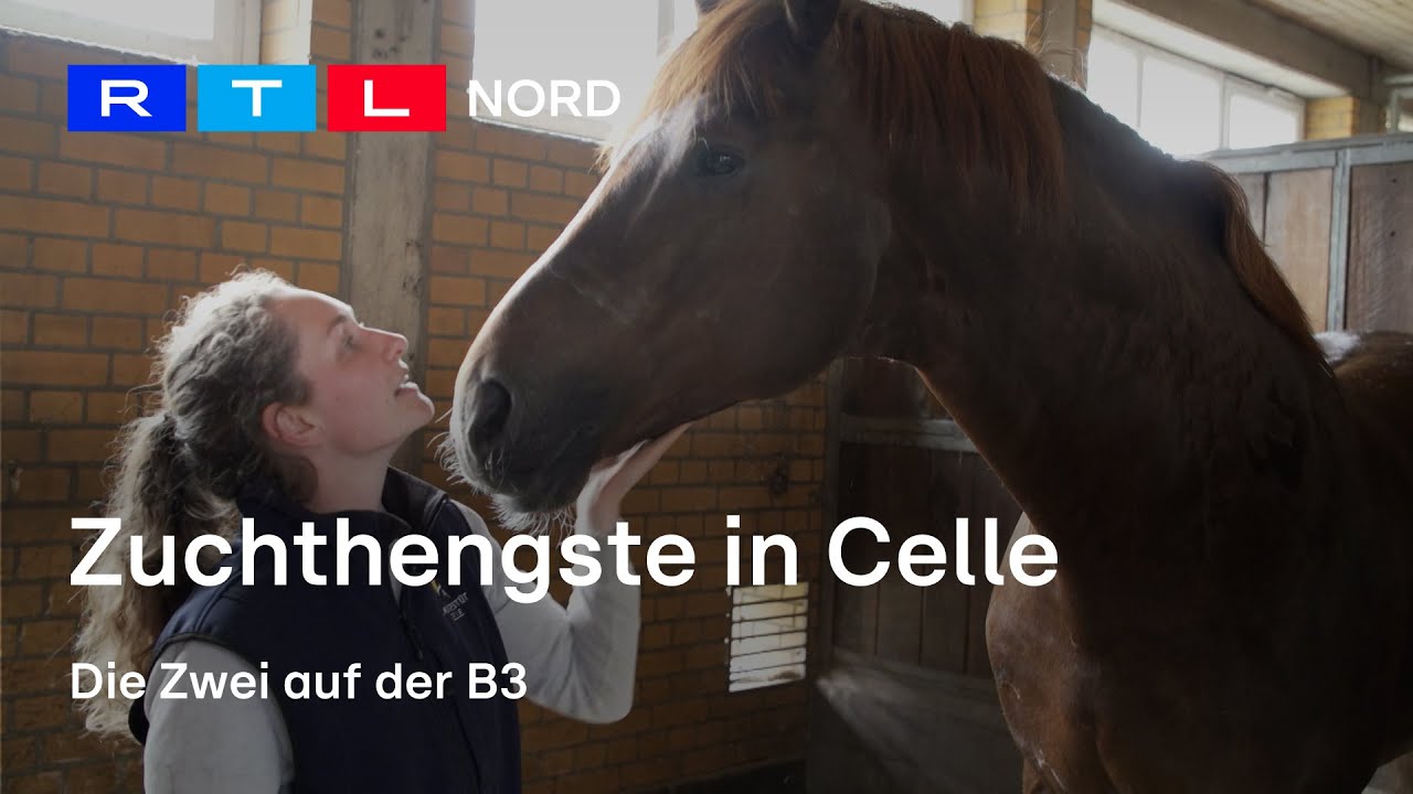 Die Zwei auf der B3: Vom militärischem Sperrgebiet zum Landgestüt in Celle (3/5)