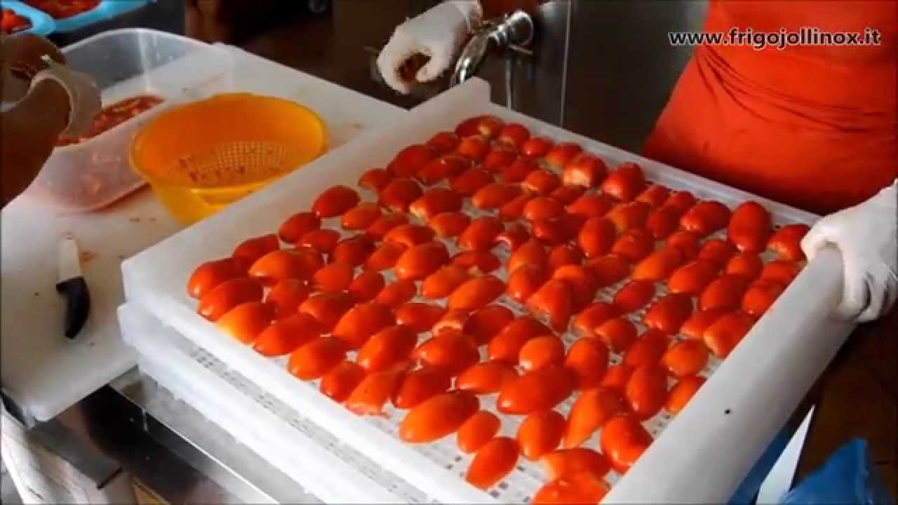FRIGOJOLLINOX s.r.l. Laboratorio per essiccazione. ESSICCATORE A FREDDO SBIO40