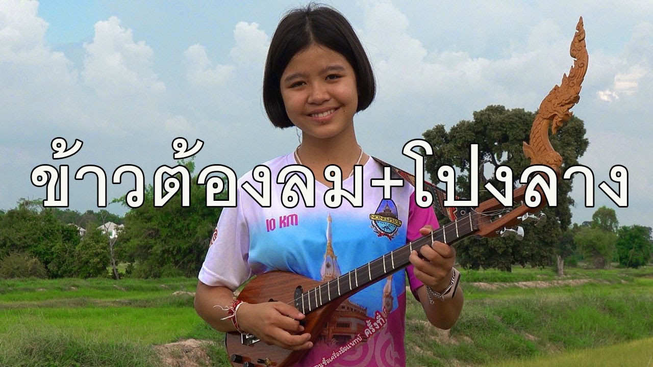 กิ๊ฟน้อย พนมไพร บรรเลงพิณ ลายข้าวต้องลมผสมลายโปงลาง【Isan Lam Ploen】