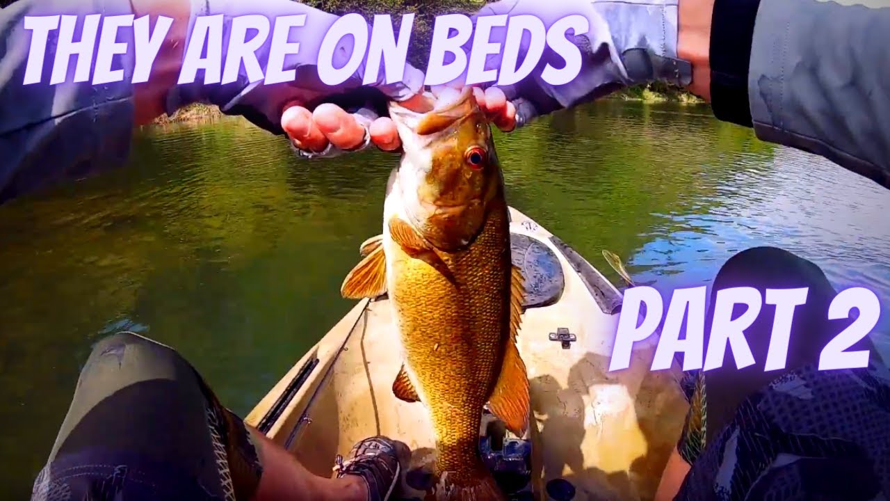 River Smallmouth Series 2 of 4 Umpqua River 4-22-21