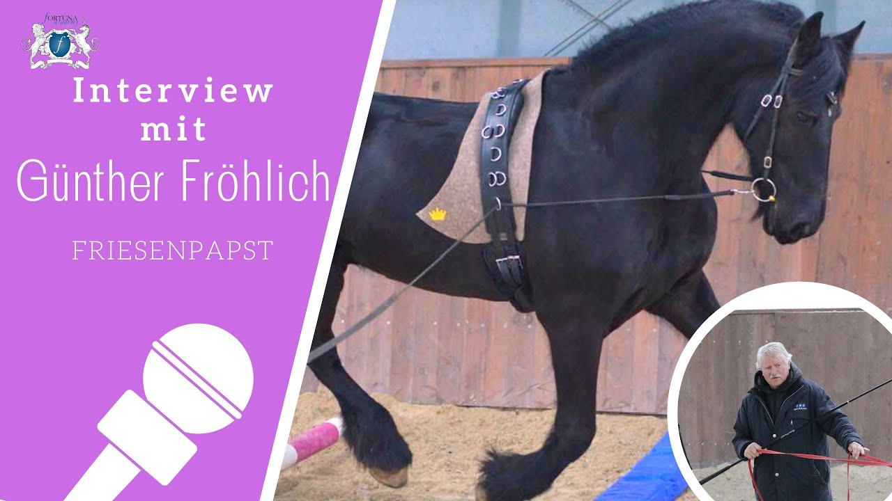 🎤 Interview mit ⭐️ Günther Fröhlich ⭐️- Friesenpapst - Doppellonge - Reha pro 🐴 Pferd