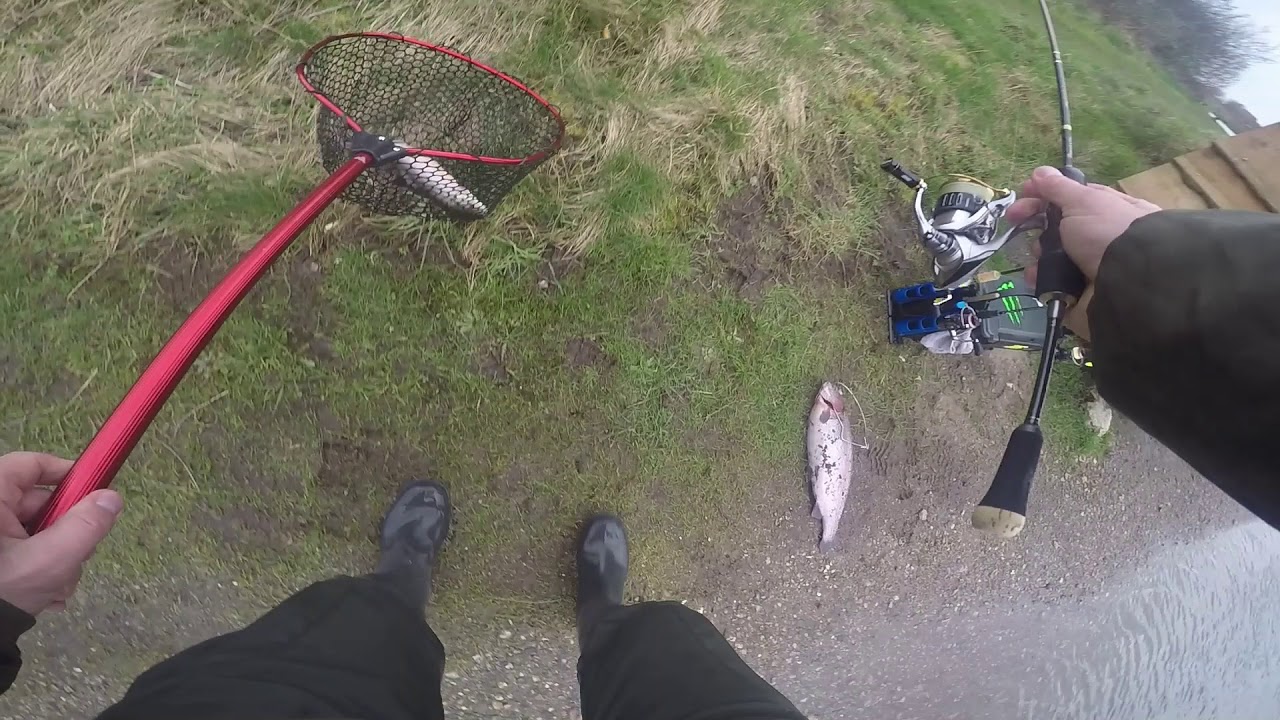Jagd auf Lachsforellen! Forellenangeln in Dänemark