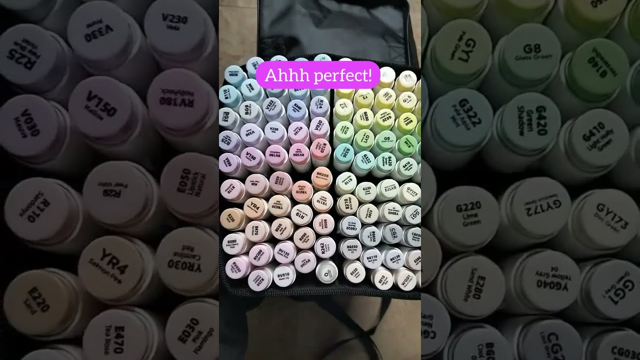 ASMR✨Unboxing and Organizing my Ohuhu 96 pastel markers!✨ | Fun n Skill