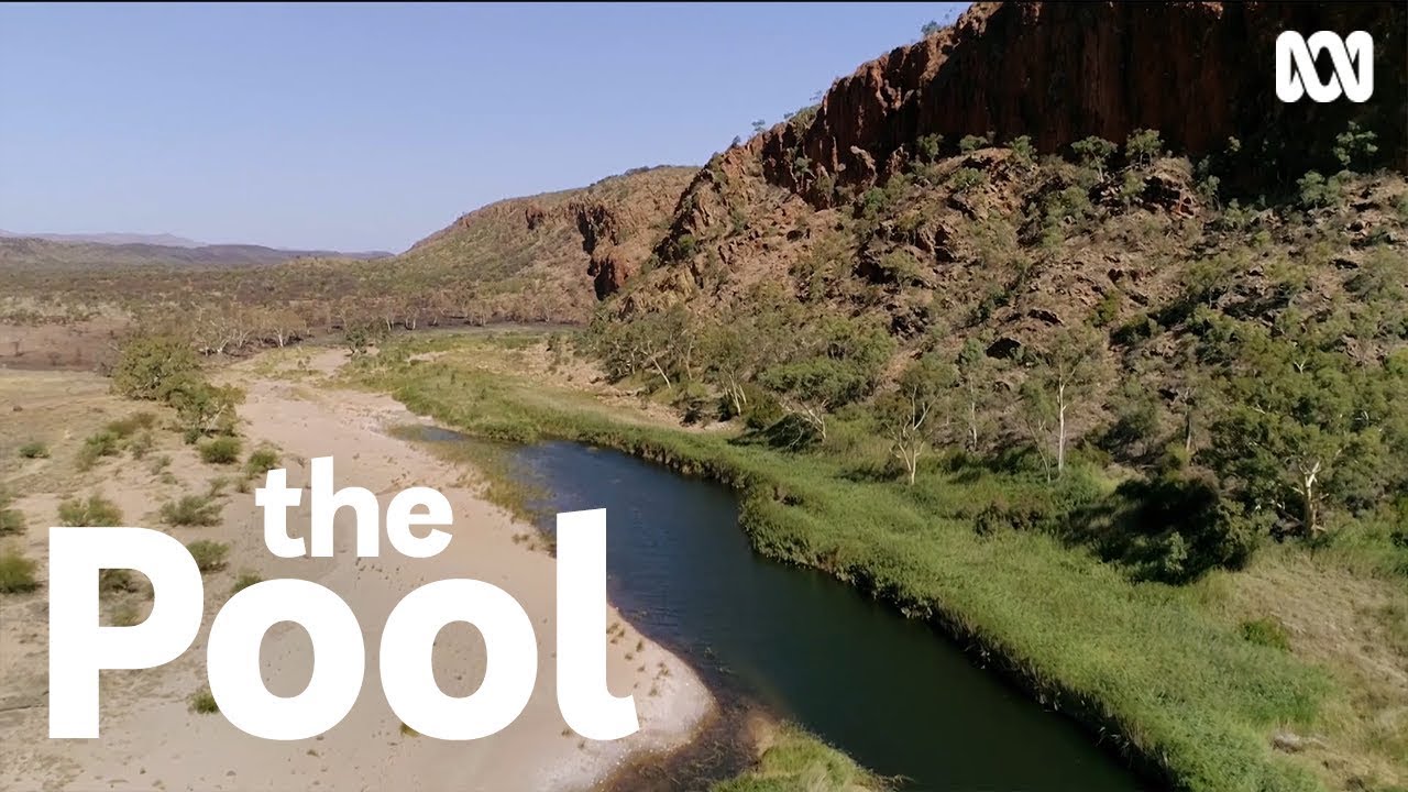 How Billabong is Australia's Original and Oldest Pool  | The Pool