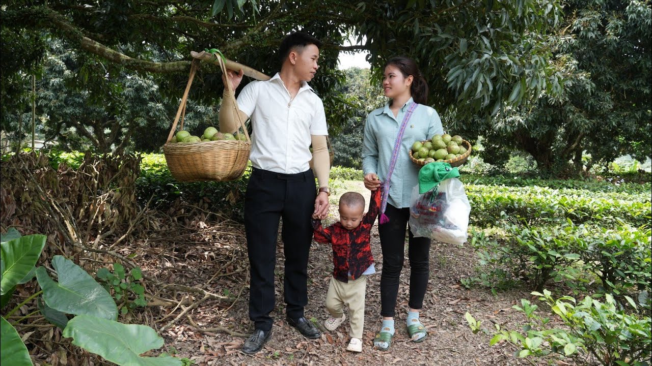 Join CEO Hung to Visit Newly Hatched Chicks and Harvest Star Apple Fruit to Sell at the Market.