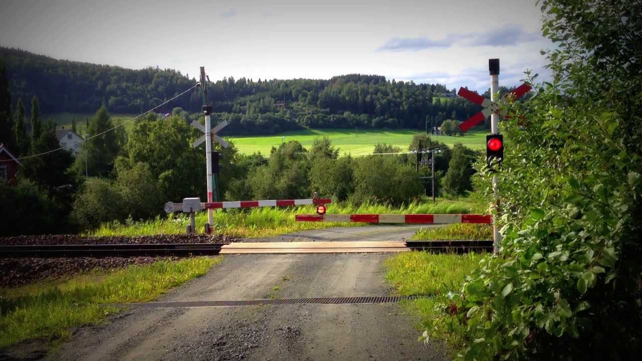 Salthammer planovergang - Tr&oslash;nderbanen / Railroad crossing in Salthammer
