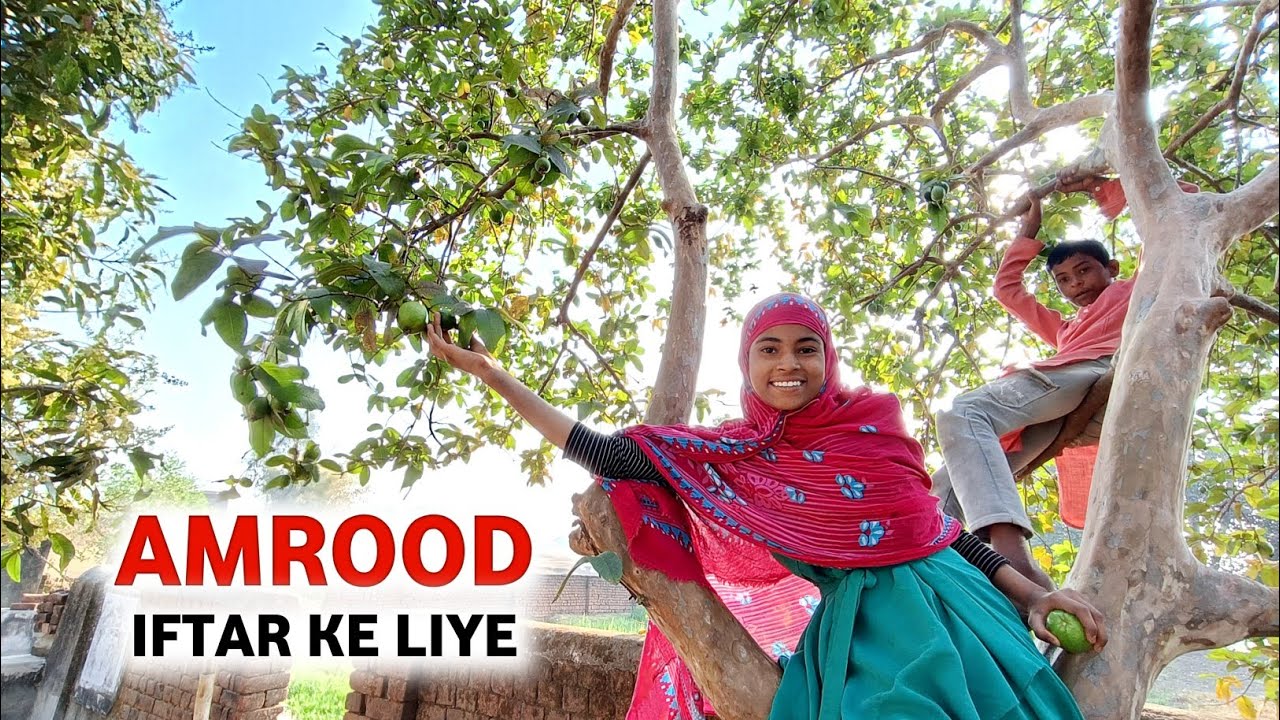 Iftar Ke Liye || Gaon Ke Mithe Amrood 😊