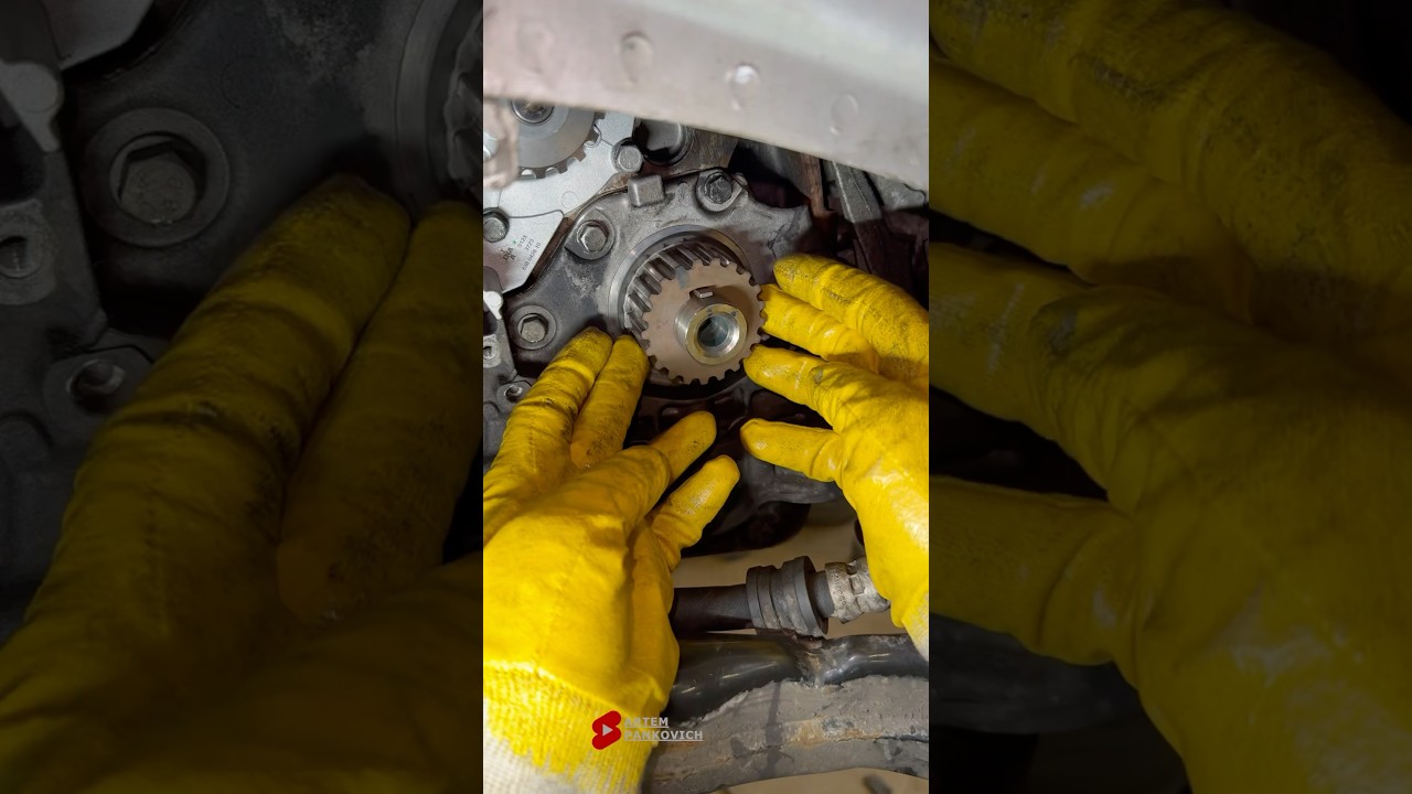 Timing Belt Replacement on FORD 2.0 TDCi &ndash; All the Details!