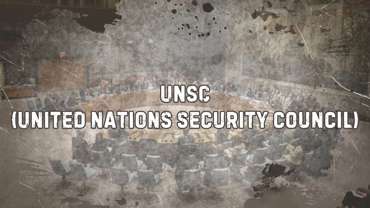 Introducing UNSC Committee (United Nations Security Council) | VPS&rsquo; MUN 2025