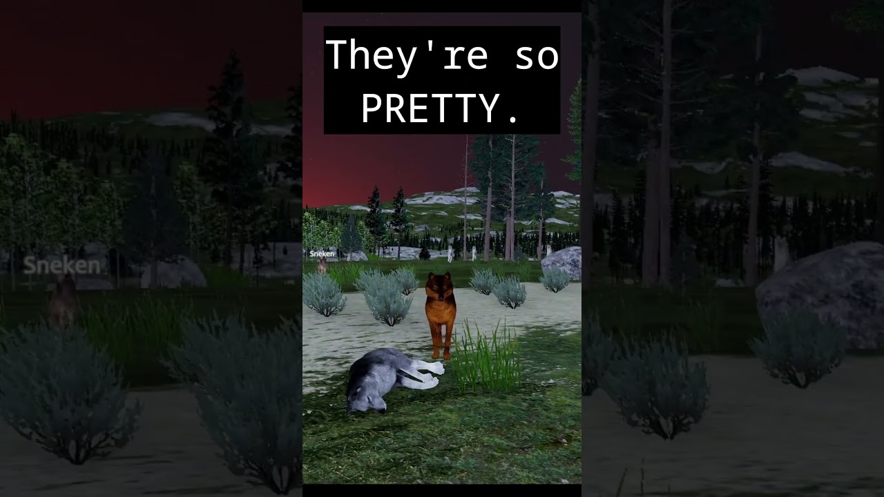 Grieving for pretty wolves.. #wolfquestsaga #oneregret #regrets