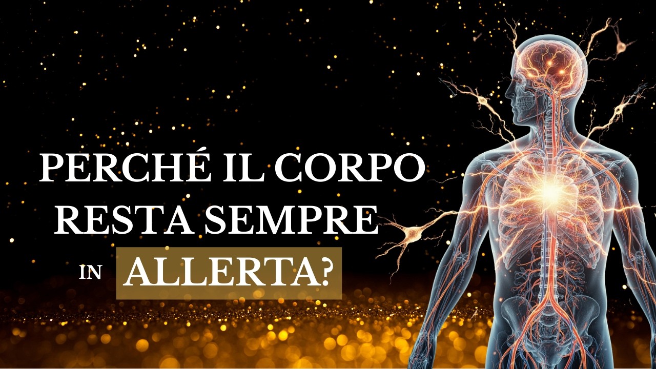 Perché il tuo corpo rimane in allerta? Spiegate la cause profonde e la soluzione per uscirne