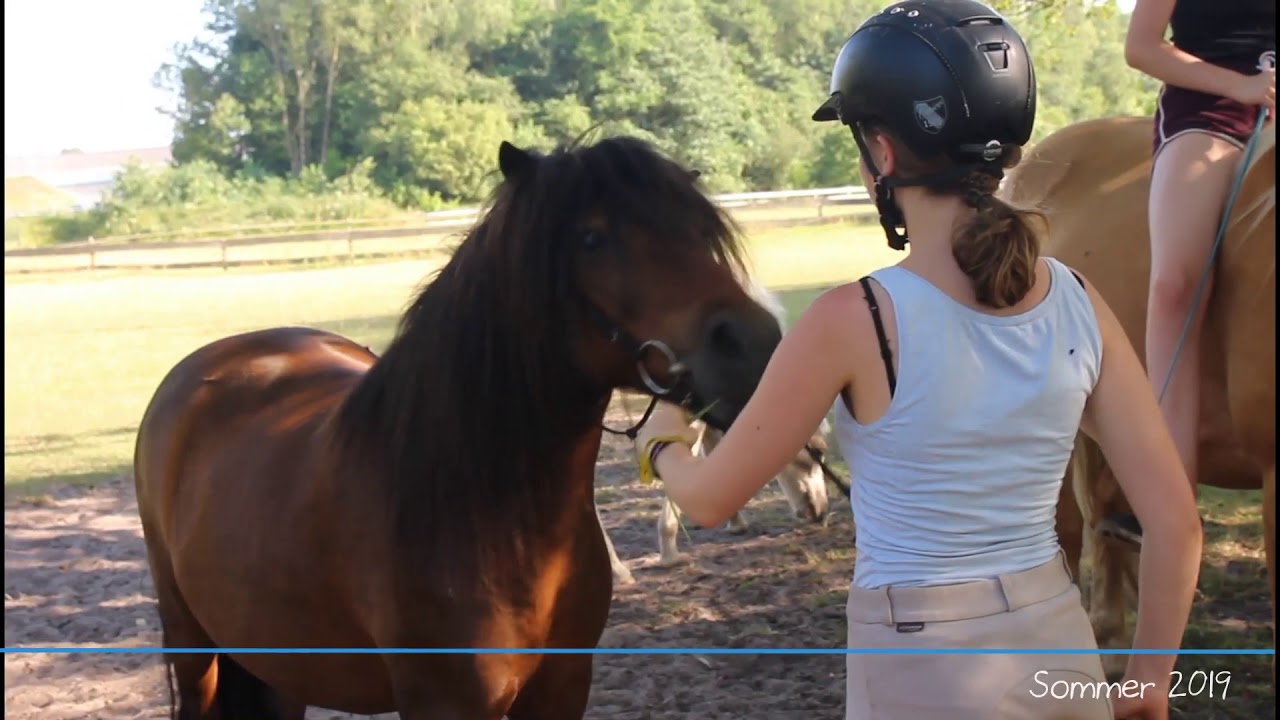 Sommer 2019 | Pony- Park Padenstedt