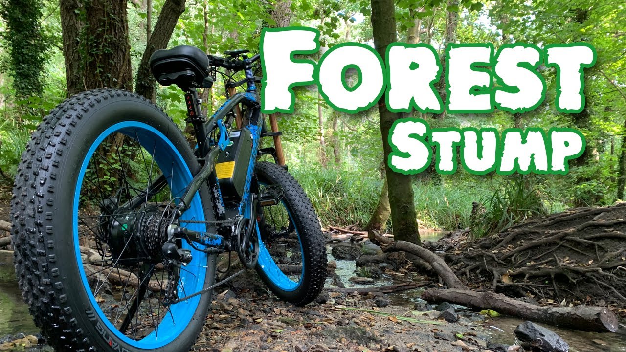 E Bike'ing in the forest XF900