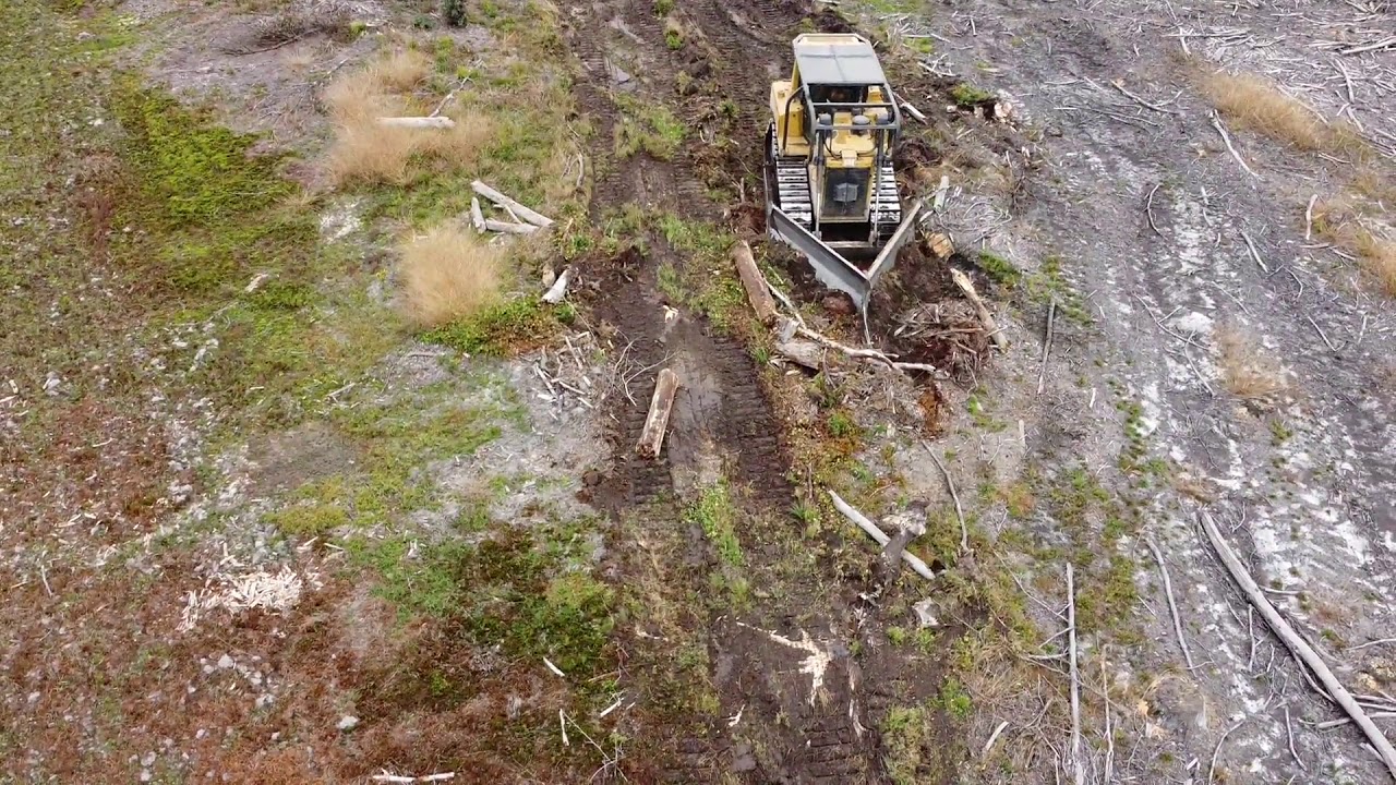 D6 Caterpillars Shearing  and Bedding Timberland