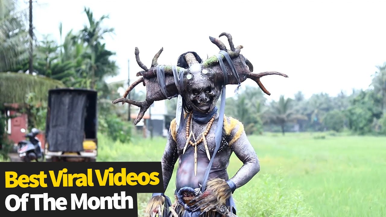 Top 20 Best Viral Videos Of The Month - August 2021