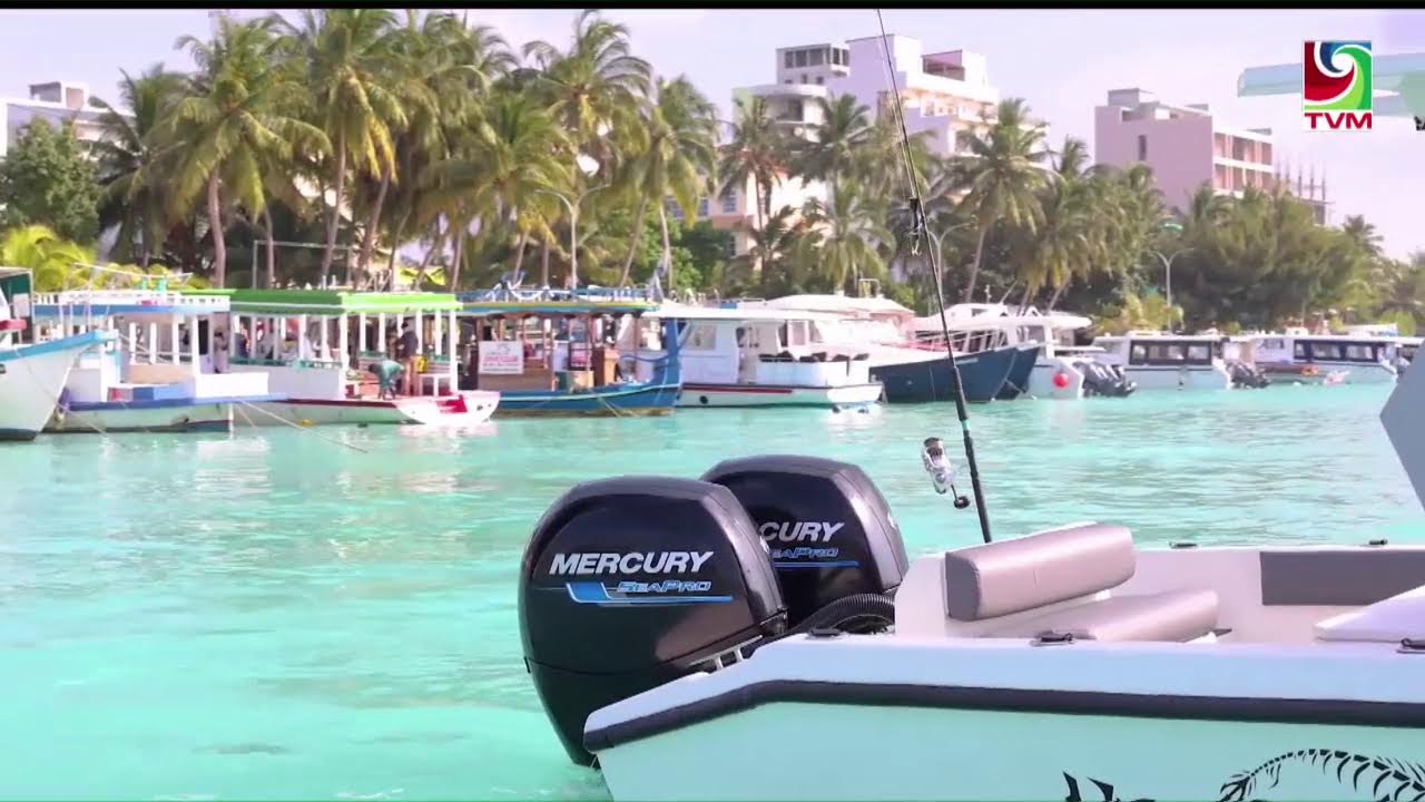#TheIslandSurvivor