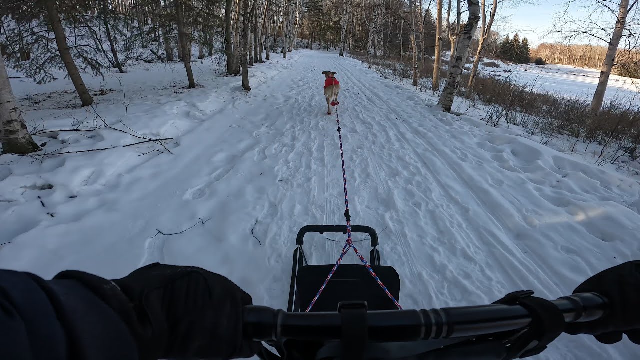It's Still Icy Under The NEW Snow - Kicksled Run