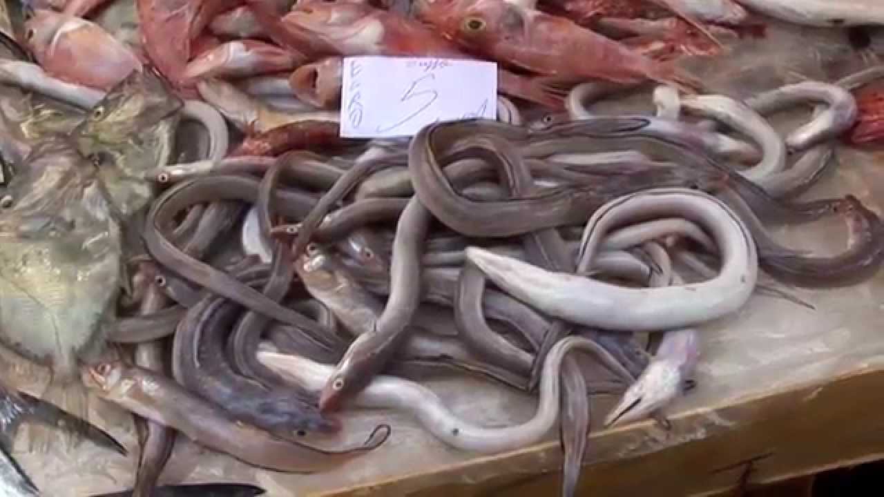 Sicilian Seafood